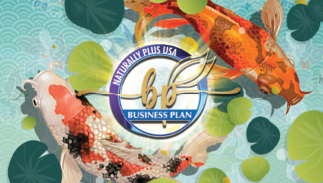 NPUSA Business Plan Brochure